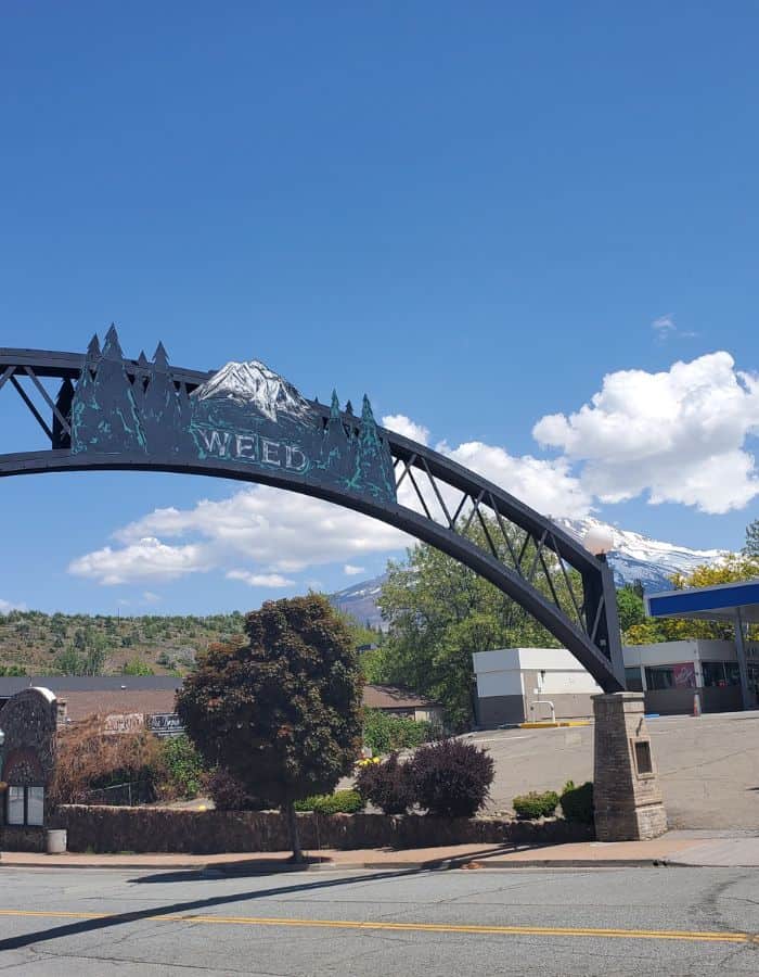 A black arched sign with pine tree silhouettes and a snowy mountain graphic reads "WEED," welcoming visitors to the town. Below the arch, a quiet street and gas station are visible, with Mount Shasta’s snow-covered peak rising in the background under a bright blue sky with fluffy clouds.