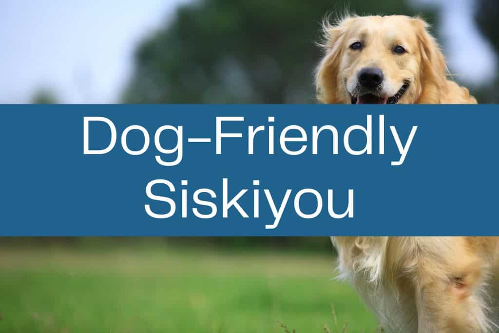  Happy golden retriever running through a grassy field with trees in the background. A blue banner across the center reads “Dog-Friendly Siskiyou” in large white text.