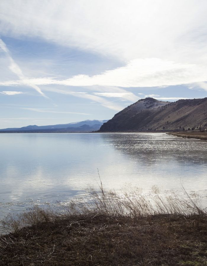 Peaceful view of Tulelake with calm water reflecting a partly cloudy sky, edged by dry grasses in the foreground and a rugged hillside on the right. Distant mountains line the horizon under soft, diffused sunlight, creating a serene and expansive natural landscape.
